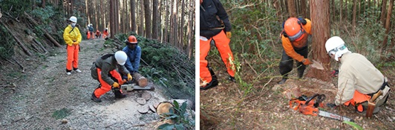 チェーンソーの取り扱い方・実践編 chainsaw